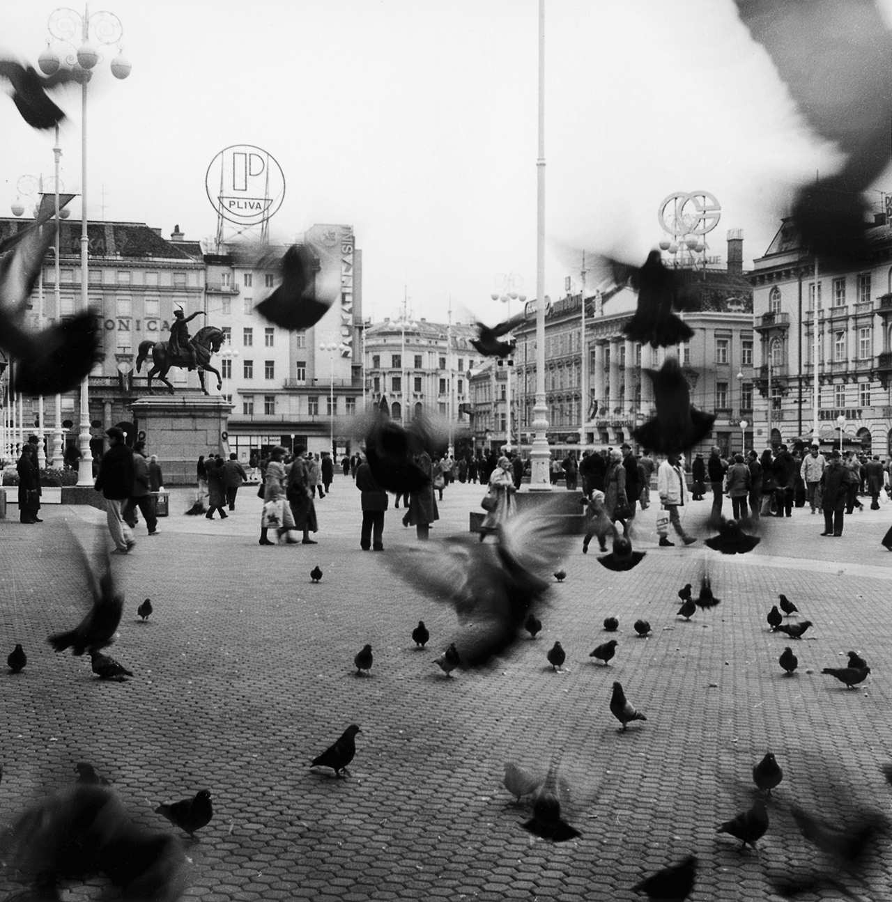 Trg Republike (današnji Trg bana Jelačića), golubovi (Foto Marija Braut)